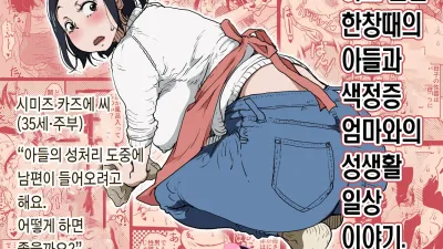 하고 싶은 한창때의 아들과 색정증 엄마와의 성생활 일상 이야기. [섹트야동,쇼츠야동,한국야동,딸퀸야동]